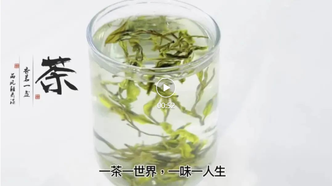 四食豐語|萬八千的春茶，自己在家就能做