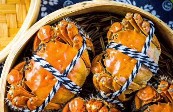 嗨翻618|鎖定帥豐直播間，開啟視覺+味覺盛宴！