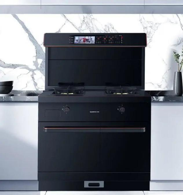 集成灶十大品牌帥豐上市2周年慶活動大曝光