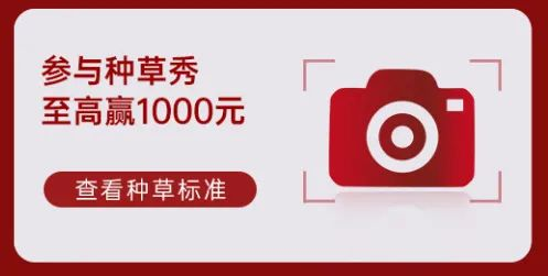 帥豐電器再奪全網(wǎng)第一！雙十一當(dāng)天限時(shí)直降，狂歡最后一天！