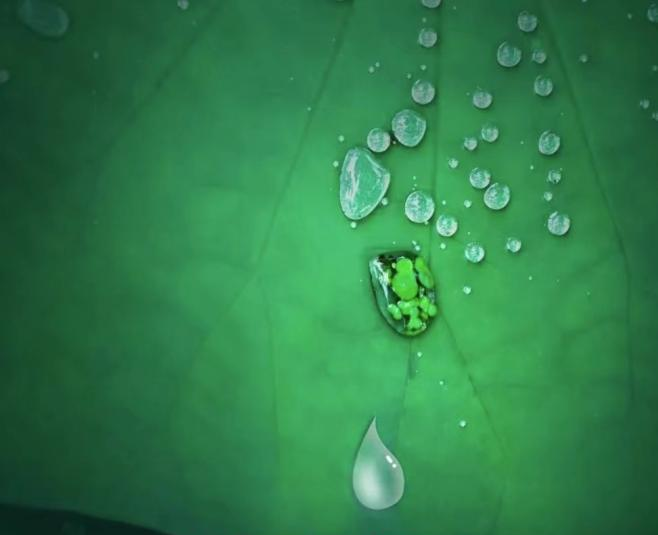 帥豐集成灶易清潔的秘密，探索晶鋼王面板的神奇“魔法”