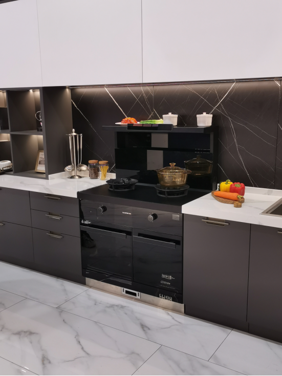 集成灶哪種品牌的好？TJ3多種功能讓廚房生活無(wú)比精彩