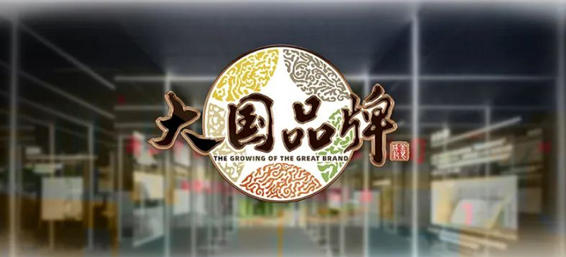 6月“豐”光榮耀前行—帥豐電器6月大事記精彩回顧