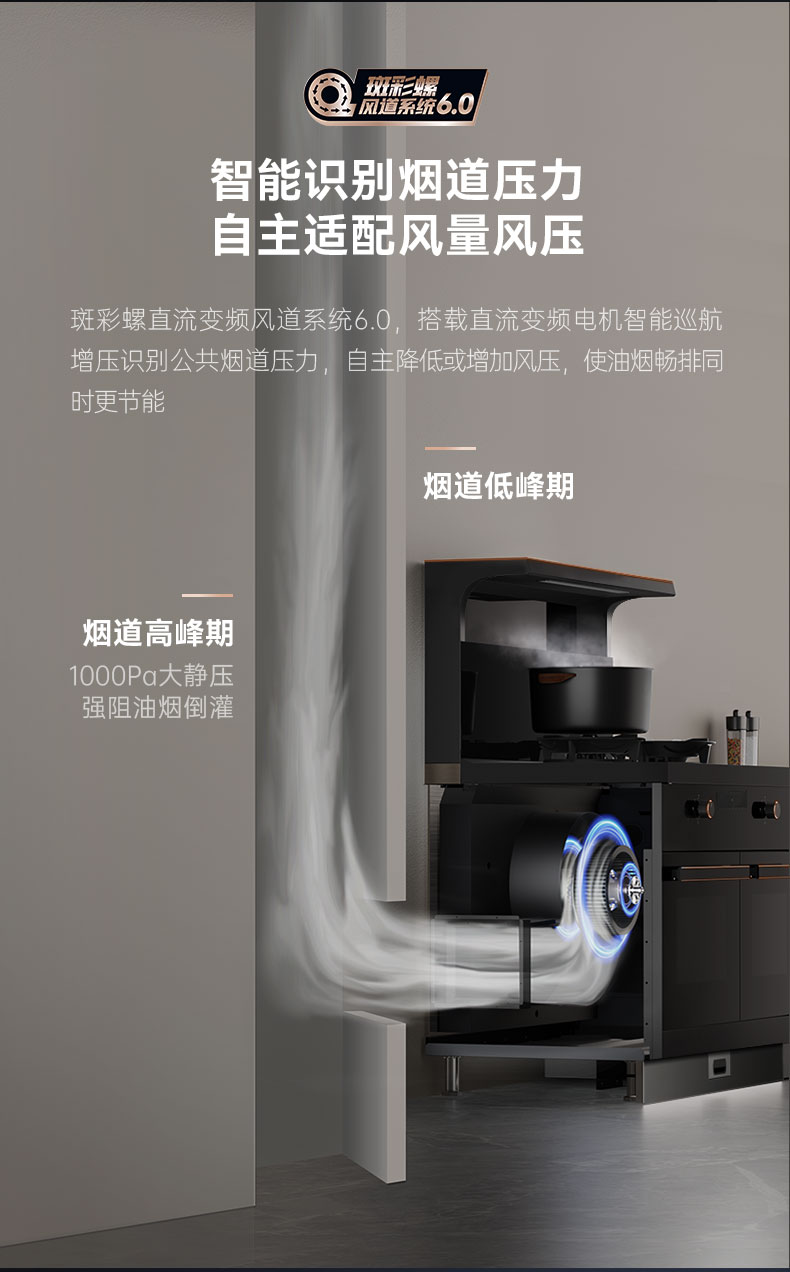 帥豐星辰X1雙子星蒸烤獨立(100S)集成灶