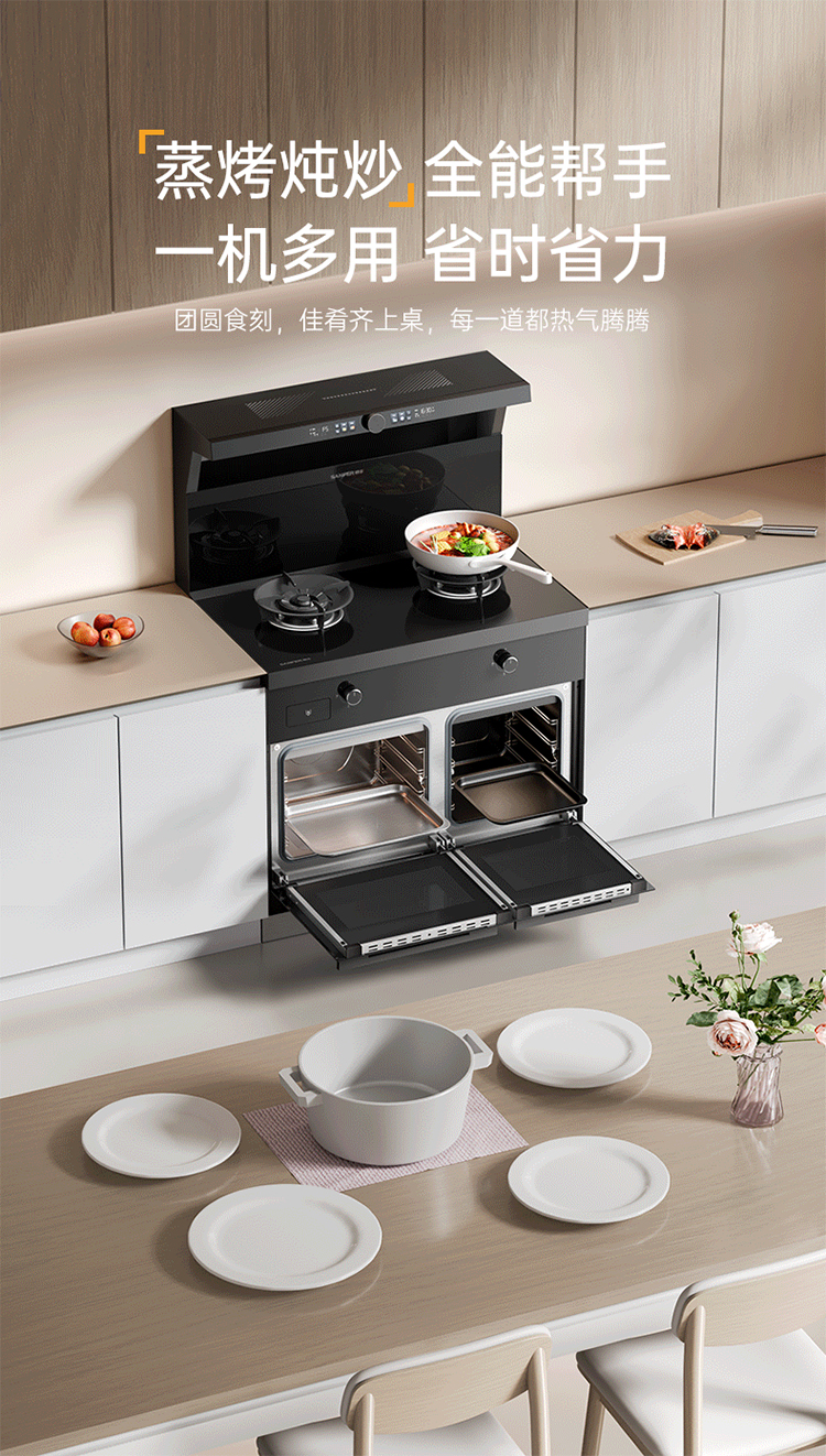 帥豐V6ZK-90蒸烤獨(dú)立集成灶
