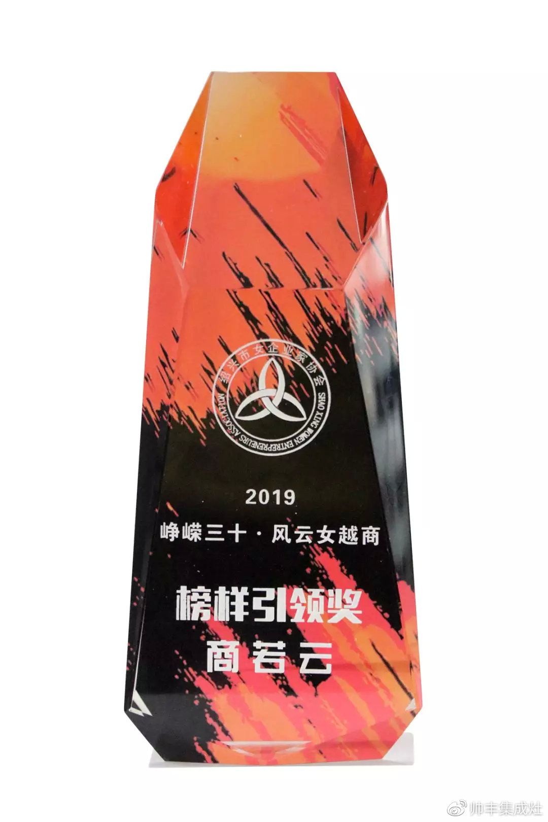 2019斬獲多項個人大獎，帥豐以董事長商若云為傲