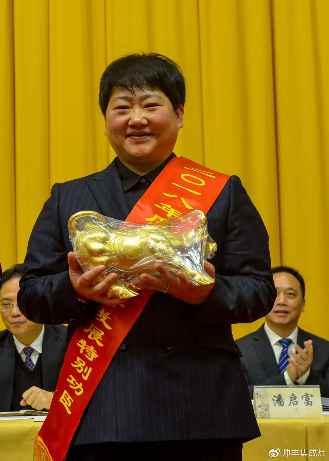 工業(yè)企業(yè)三十強(qiáng)、納稅二十強(qiáng)、金牛獎(jiǎng)，連獲三項(xiàng)大獎(jiǎng)，帥豐成2018大贏家