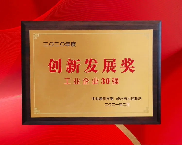 開門紅！帥豐斬獲“工業(yè)企業(yè)30強”、“經(jīng)濟發(fā)展功臣”等多項大獎