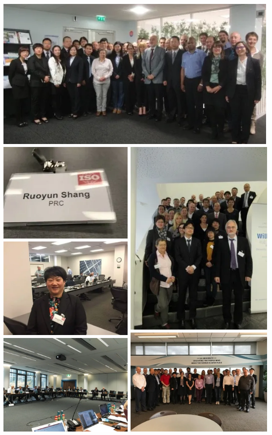 帥豐電器獲批首批省級標(biāo)準(zhǔn)國際化試點(diǎn)單位：把握中國標(biāo)準(zhǔn)工作歷史機(jī)遇期，走高質(zhì)量發(fā)展之路